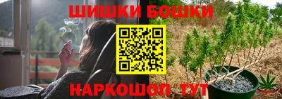 a pvp Тара