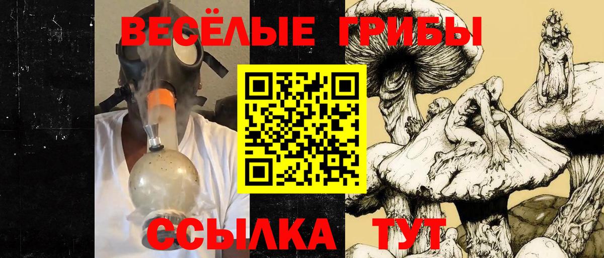 Галлюциногенные грибы GOLDEN TEACHER  Галлюциногенные грибы GOLDEN TEACHER  Вход с VPN  Павловский Посад 