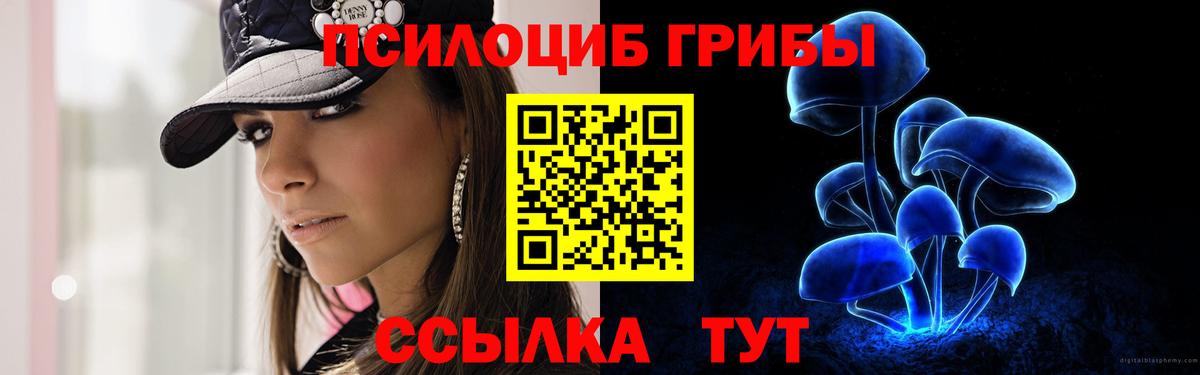 Псилоцибиновые грибы Cubensis Павловский Посад